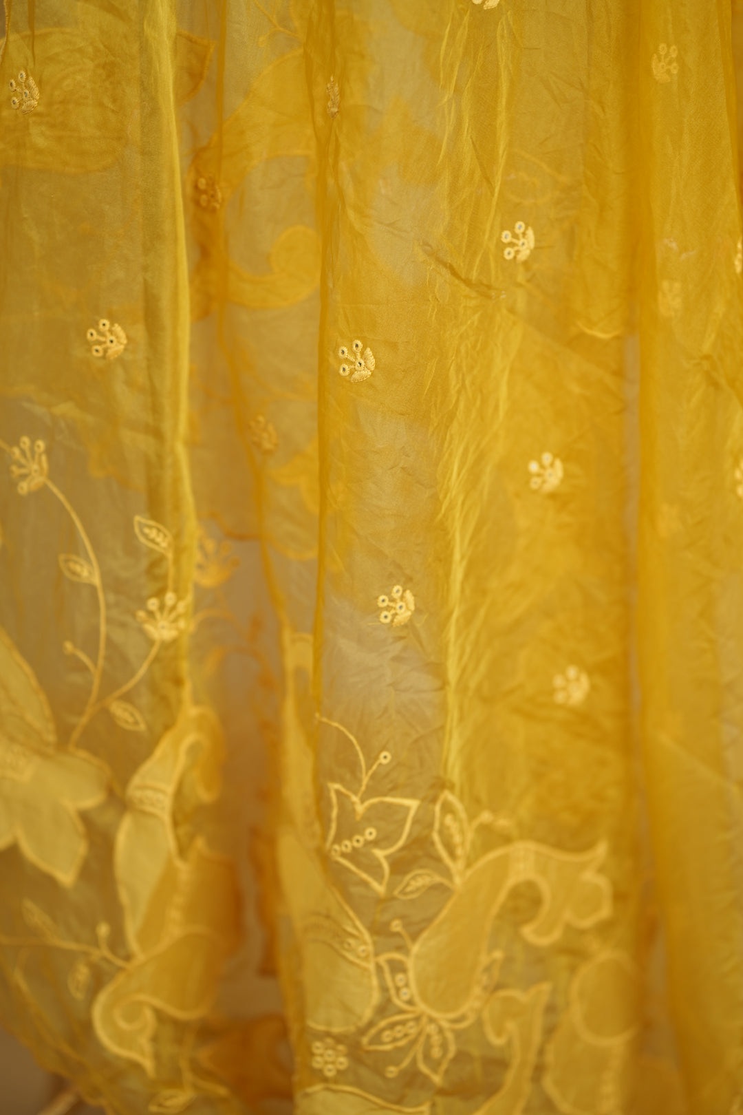 Organza Dupatta TDA0147