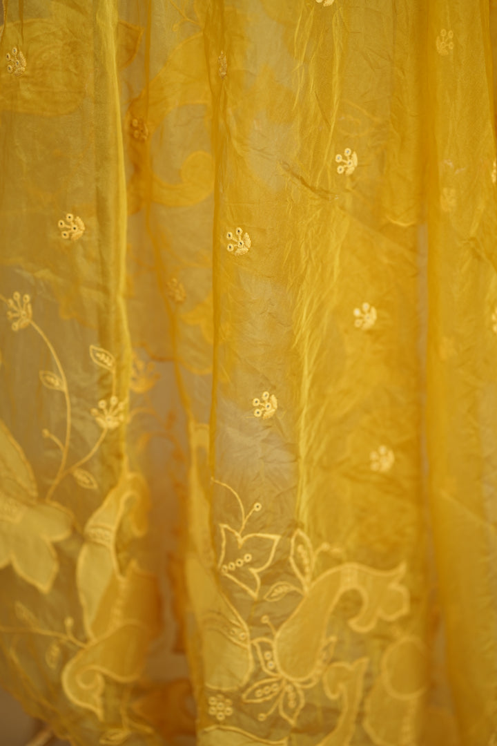 Organza Dupatta TDA0147