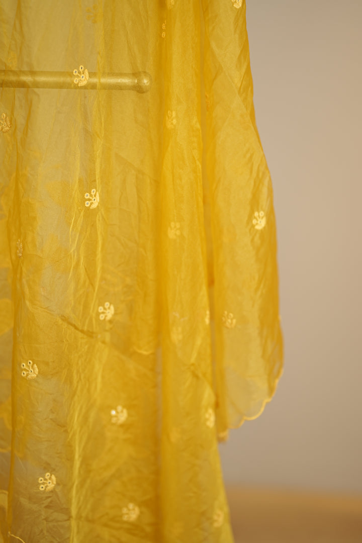 Organza Dupatta TDA0147