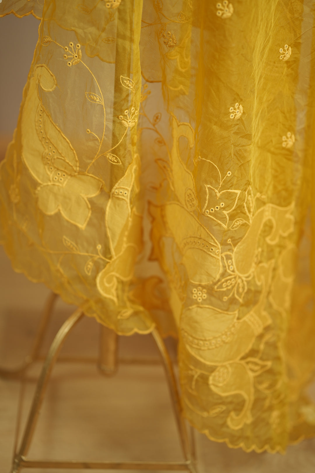 Organza Dupatta TDA0147