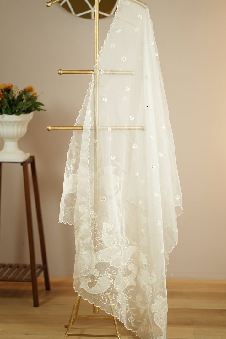 Organza Dupatta TDA0141