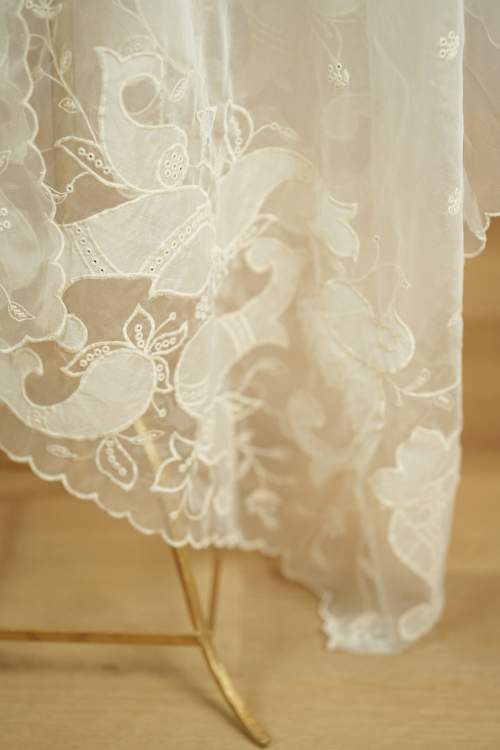 Organza Dupatta TDA0141