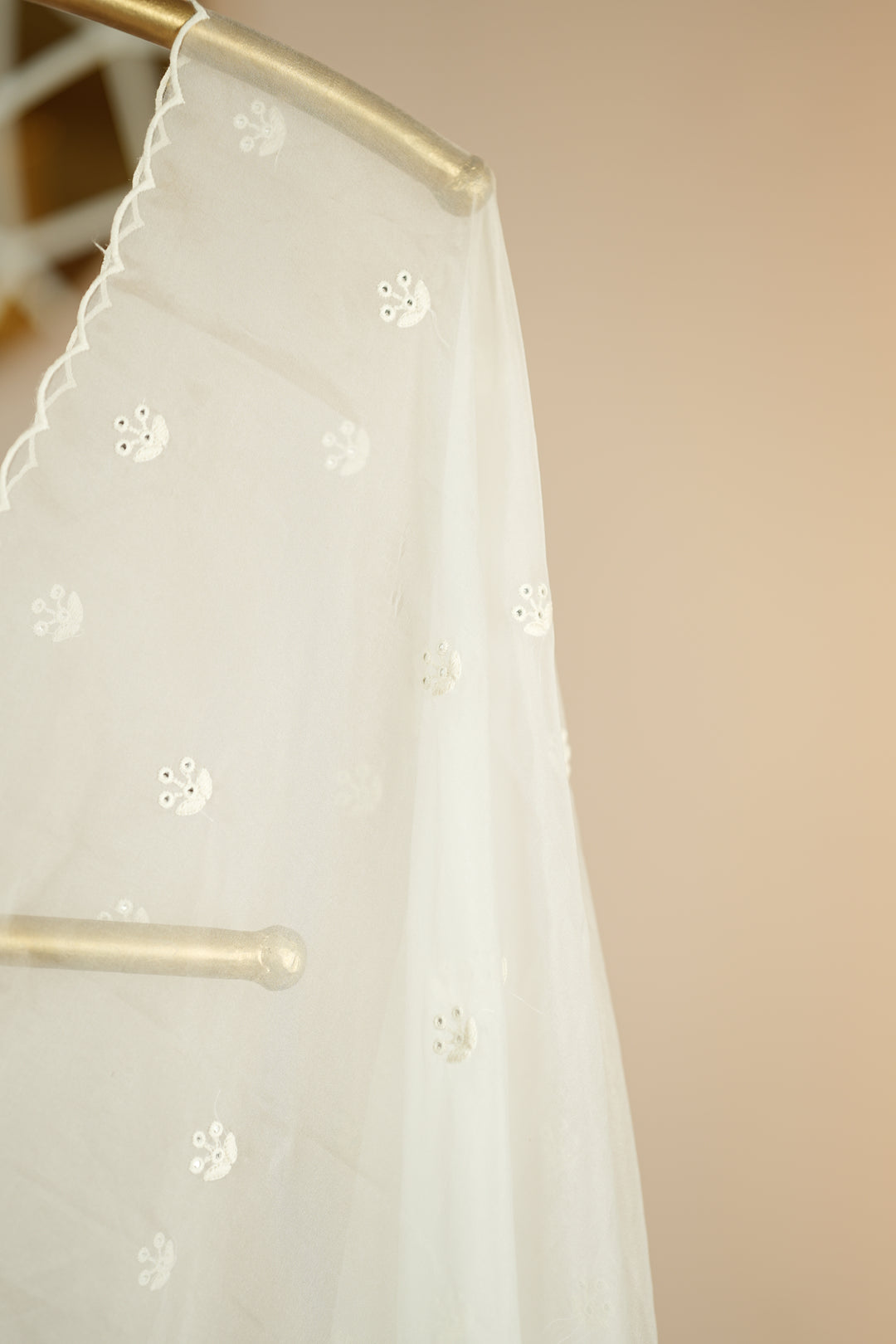Organza Dupatta TDA0141