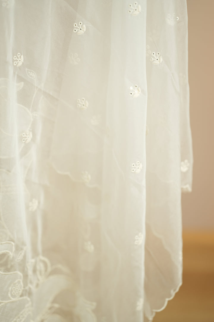 Organza Dupatta TDA0141