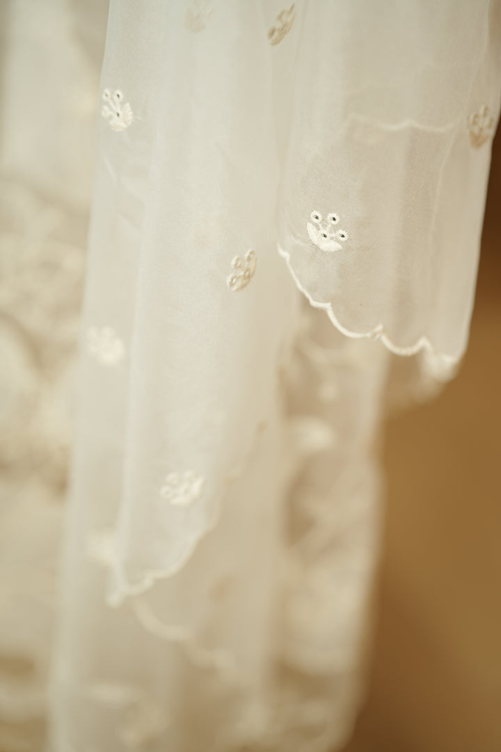 Organza Dupatta TDA0141