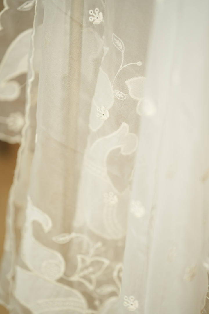 Organza Dupatta TDA0141