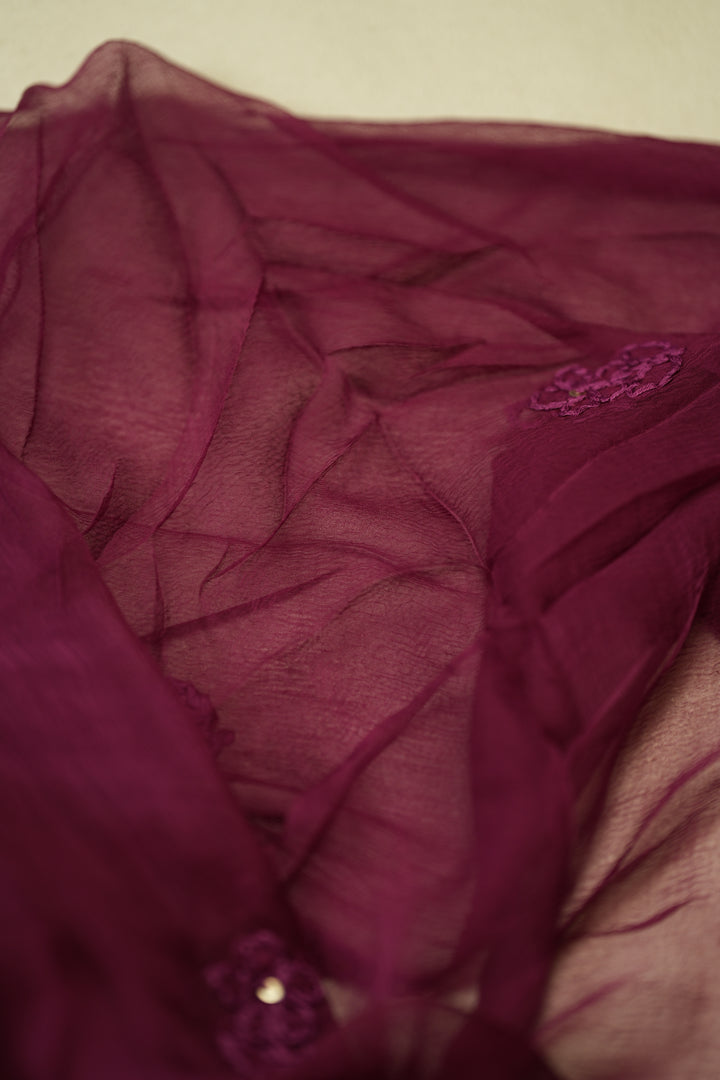Chinnon Salwar TSS0173