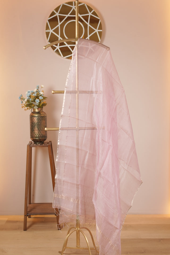 Tussar Organza Dupatta TDA0989