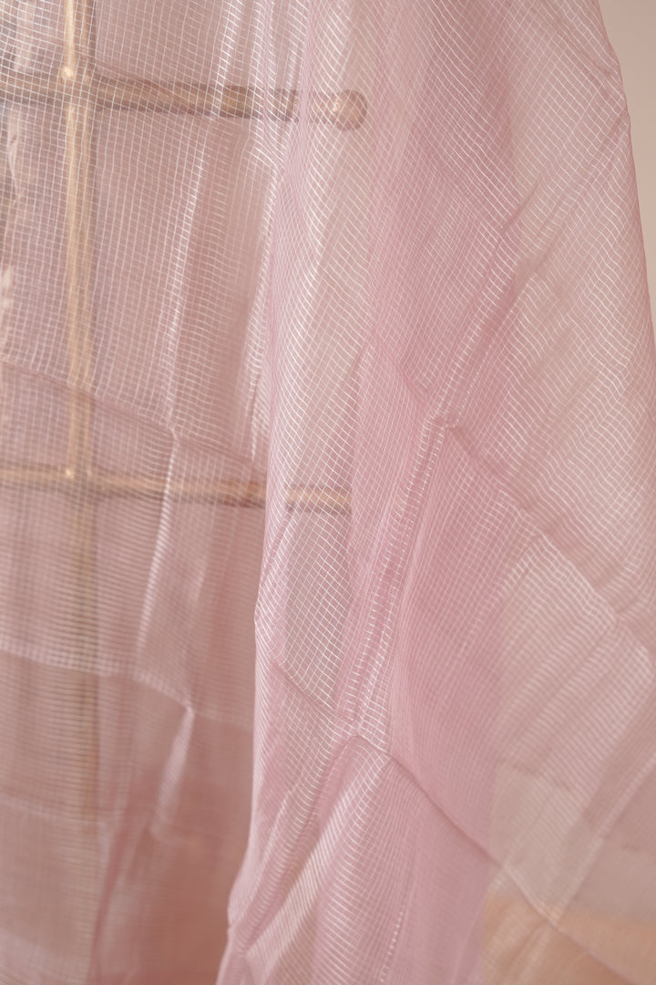 Tussar Organza Dupatta TDA0989