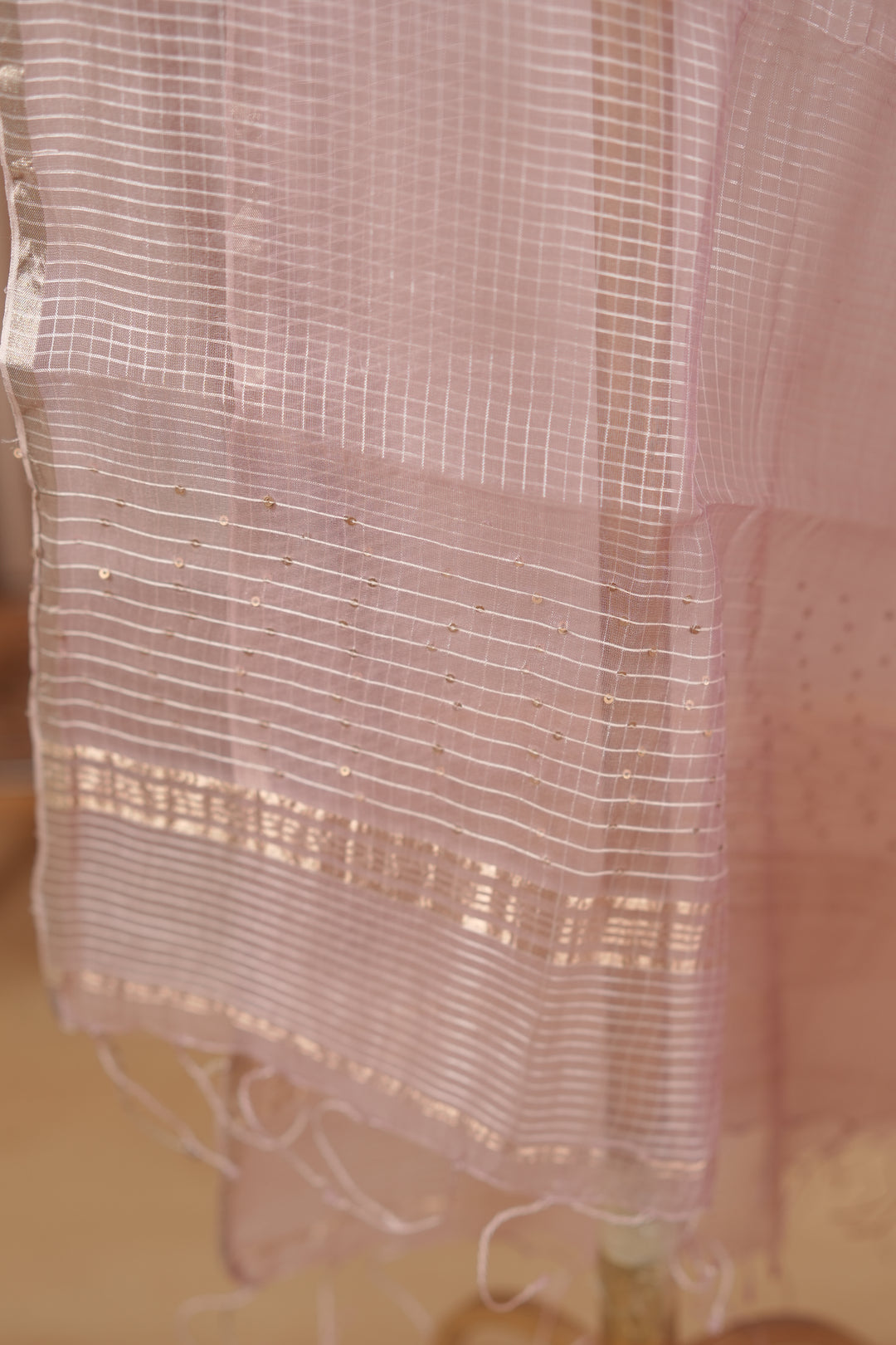Tussar Organza Dupatta TDA0989