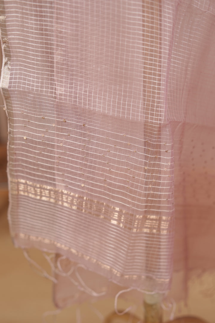 Tussar Organza Dupatta TDA0989