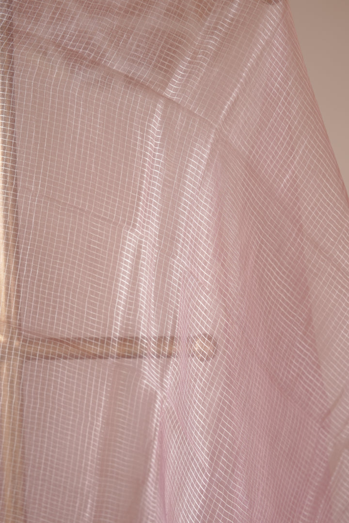 Tussar Organza Dupatta TDA0989