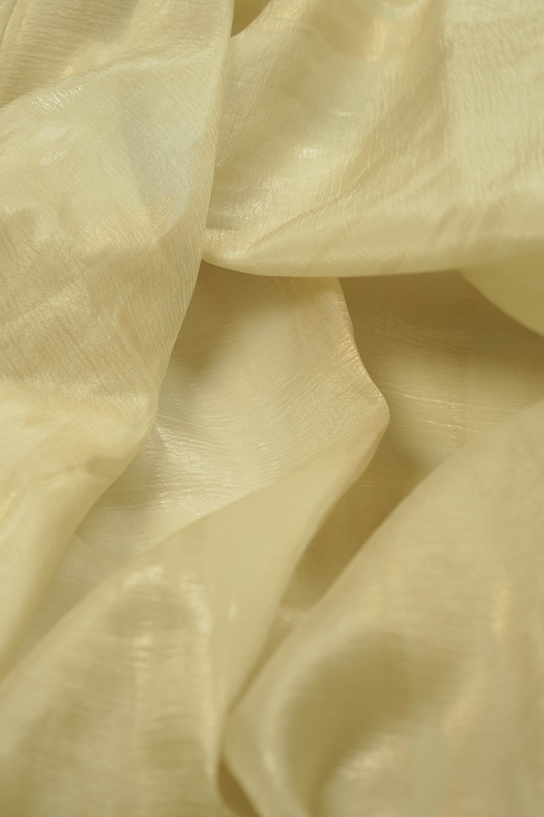 Crushed Organza Saree TSA5831