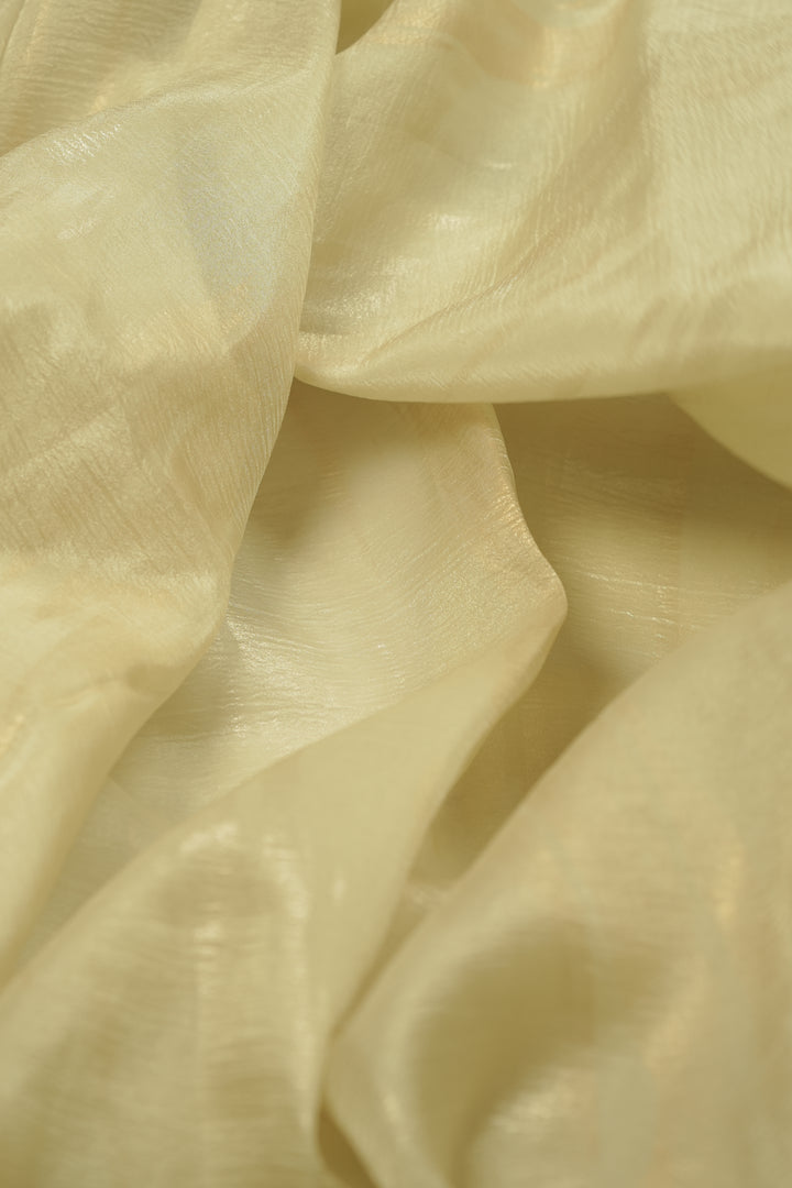 Crushed Organza Saree TSA5831