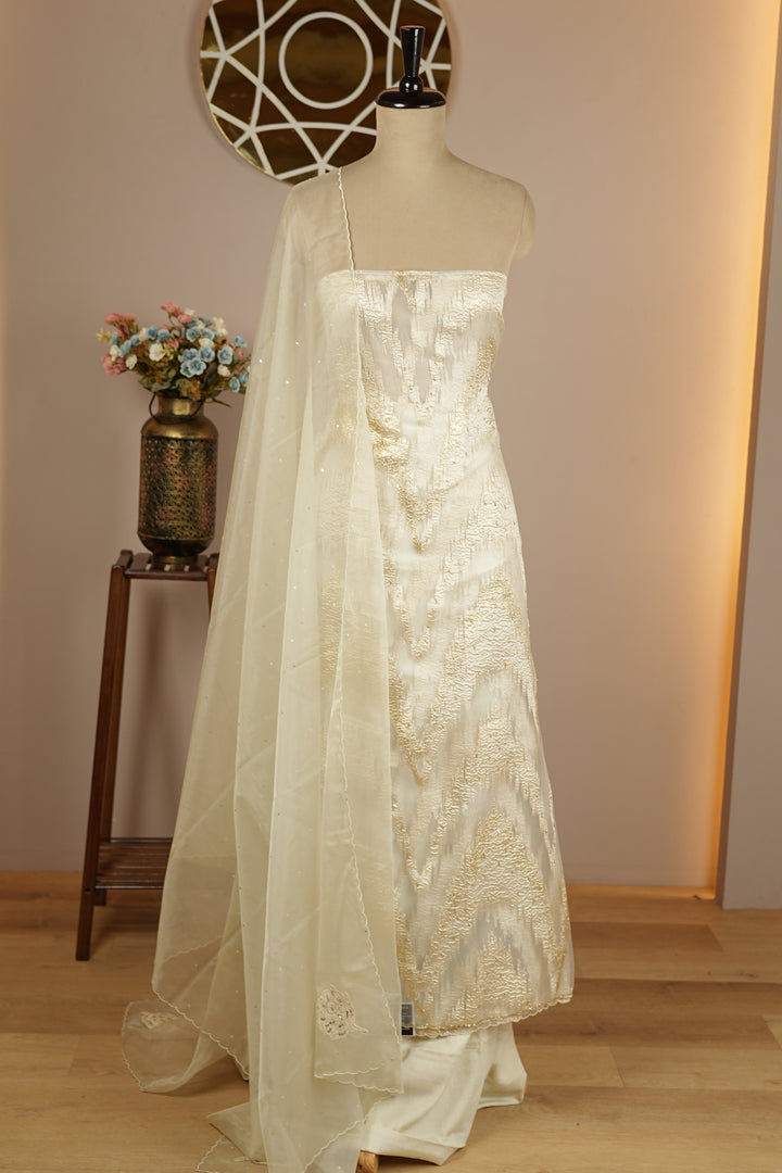 Turkish Organza Salwar TSS0264