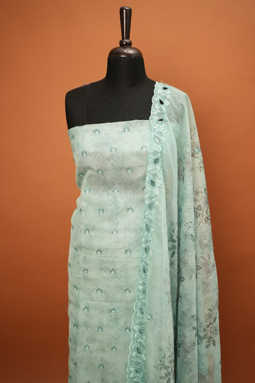 Organza Salwar TSS1464