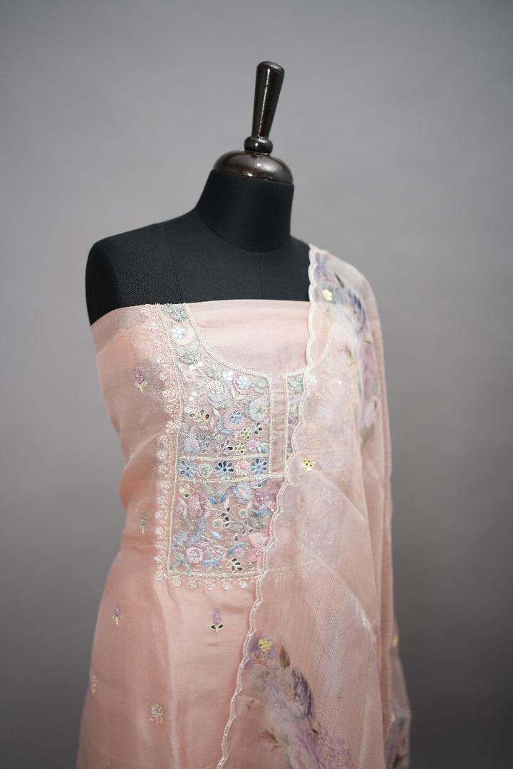 Organza Salwar TSS186