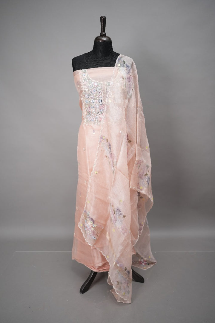 Organza Salwar TSS186