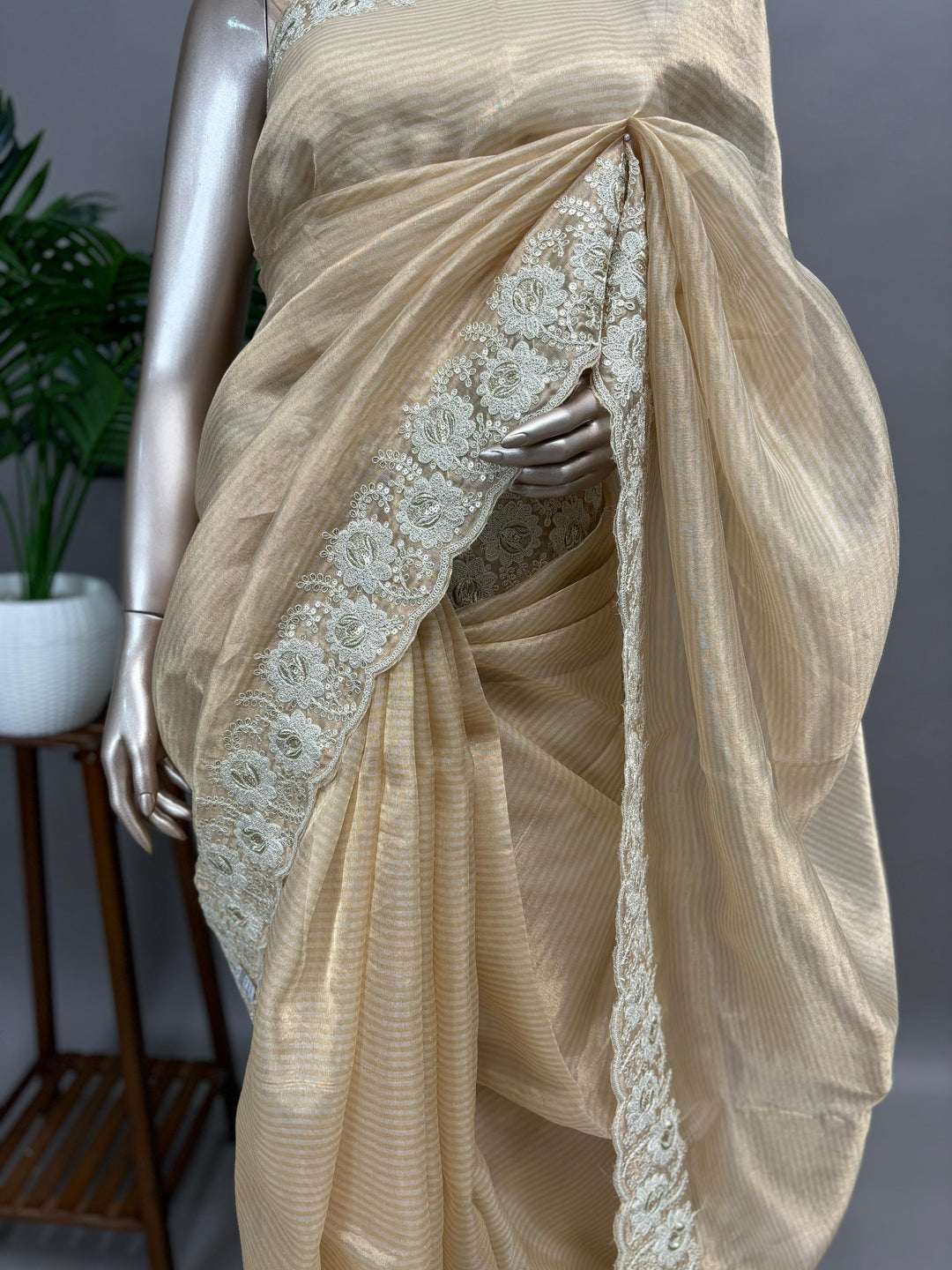 Tissue mix Organza Saree TSA1621