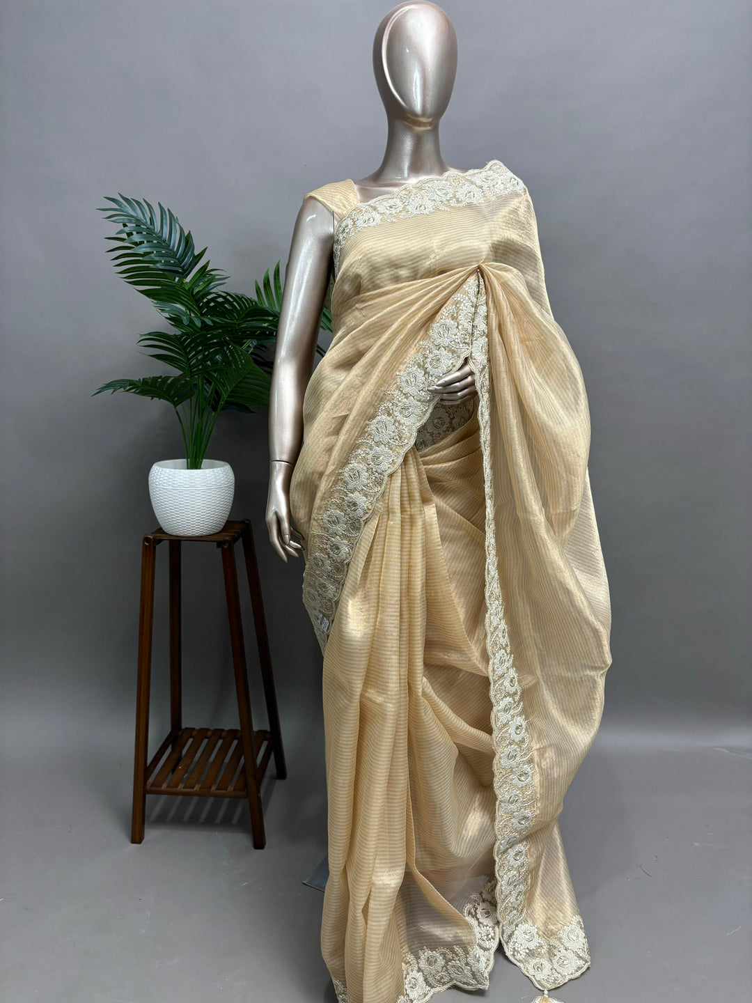 Tissue mix Organza Saree TSA1621