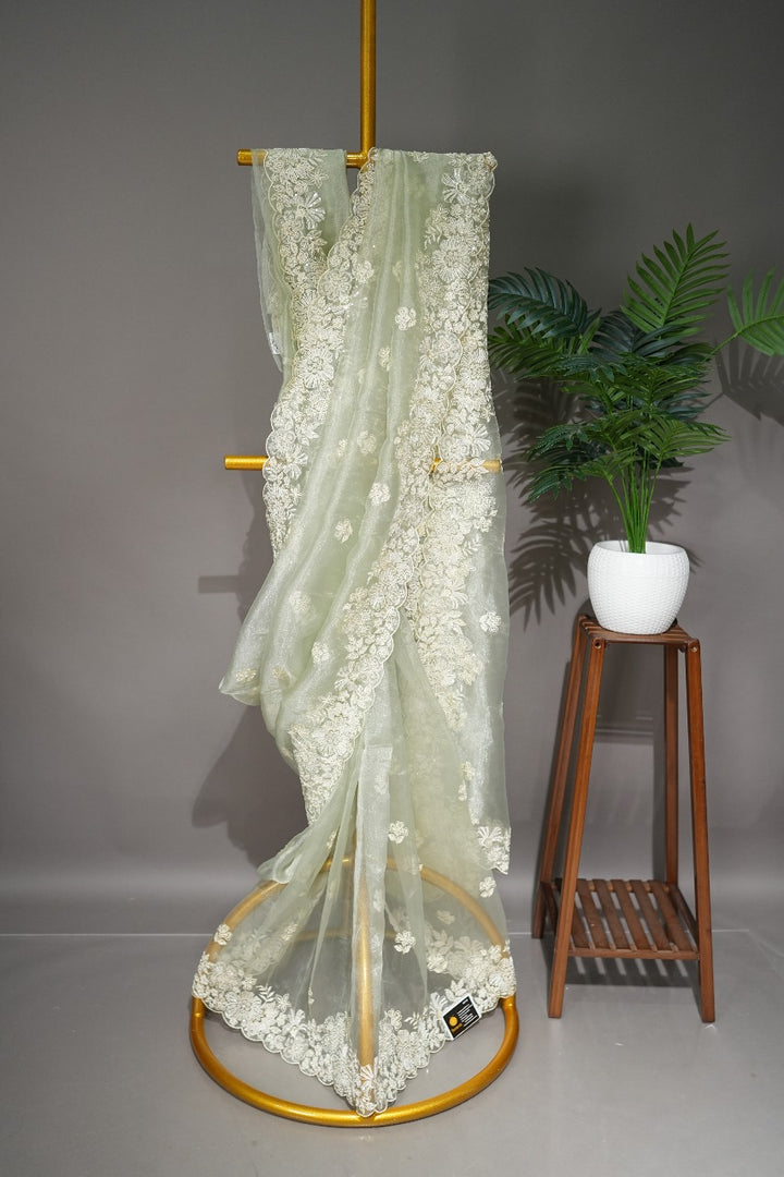 Glass Organza Saree TSA1804