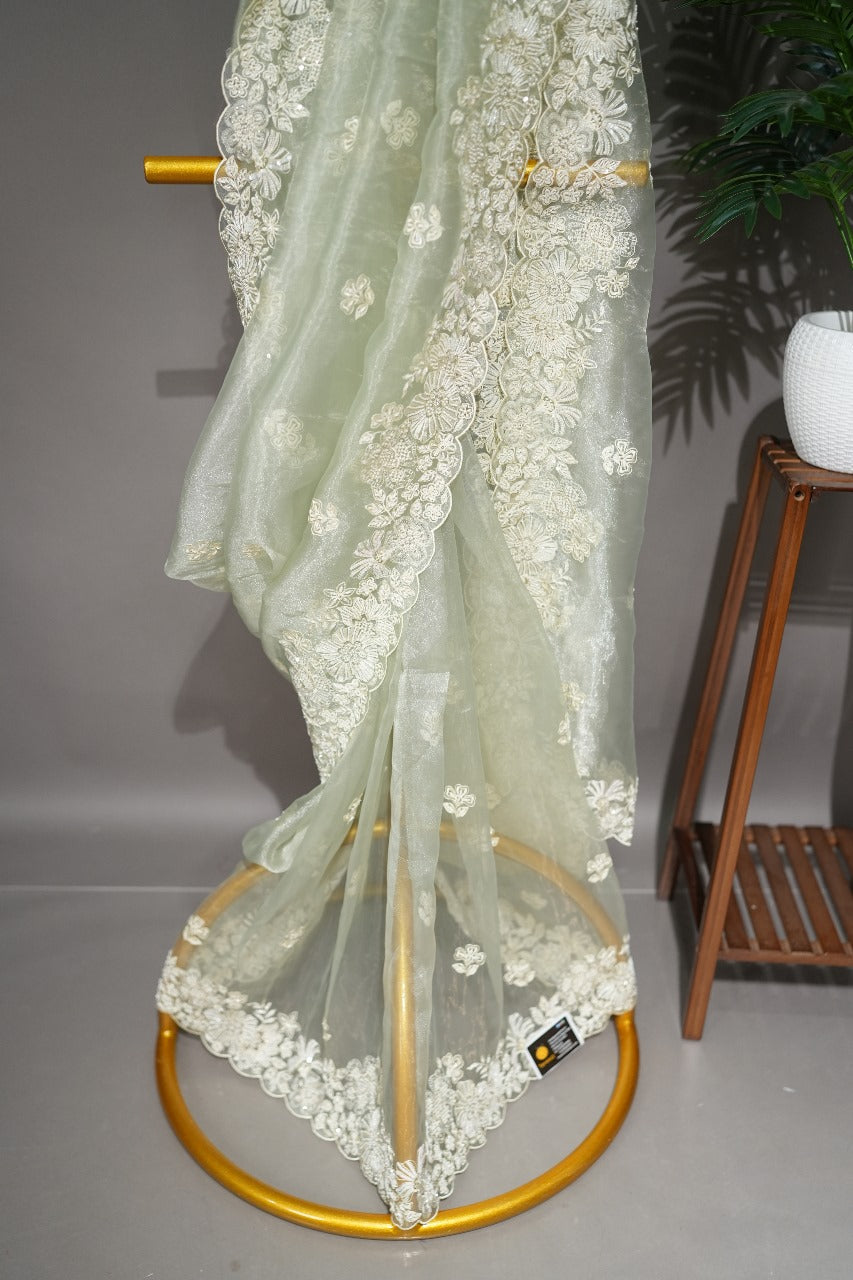 Glass Organza Saree TSA1804