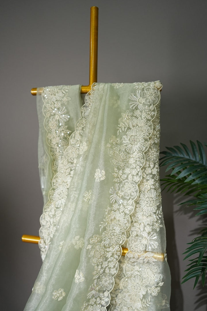 Glass Organza Saree TSA1804