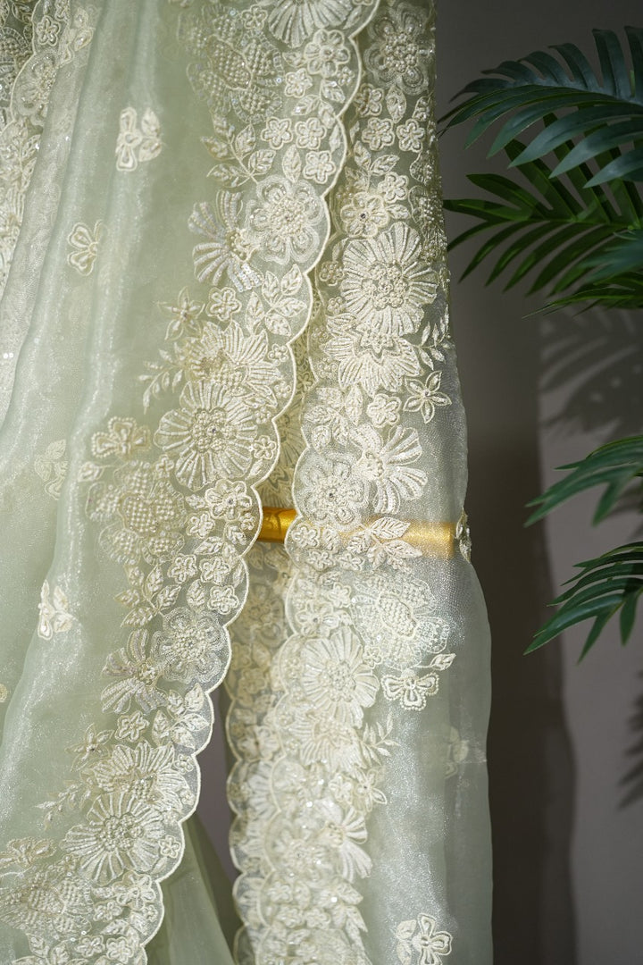 Glass Organza Saree TSA1804