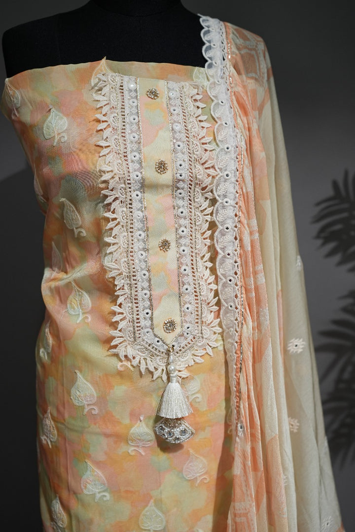 Soft Organza Salwar TSS212