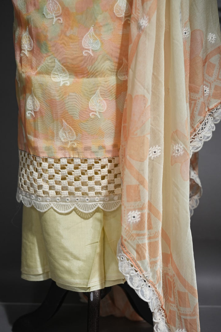 Soft Organza Salwar TSS212