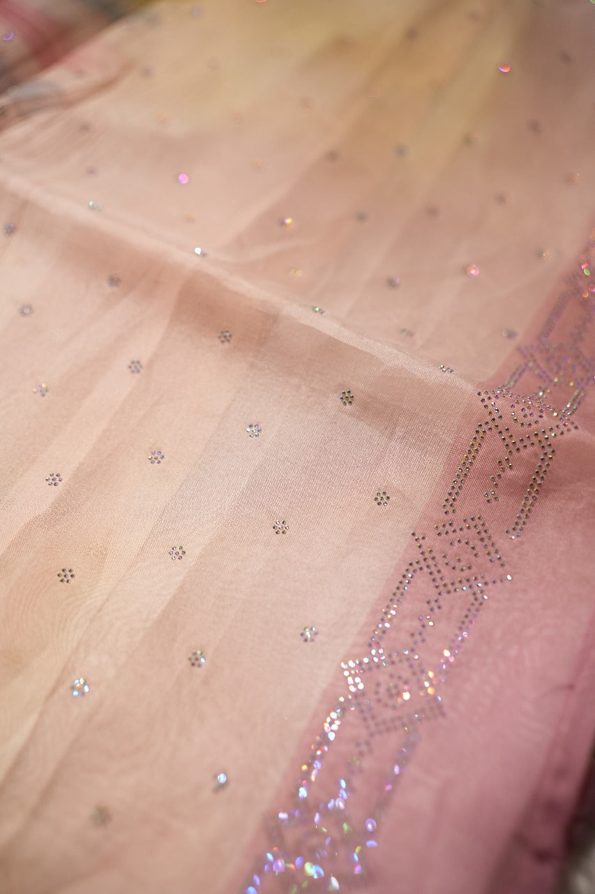 Organza Saree TSA2019