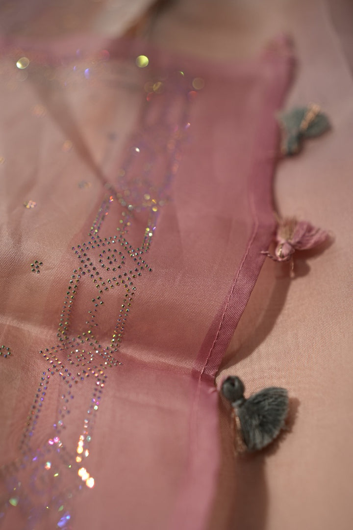 Organza Saree TSA2019