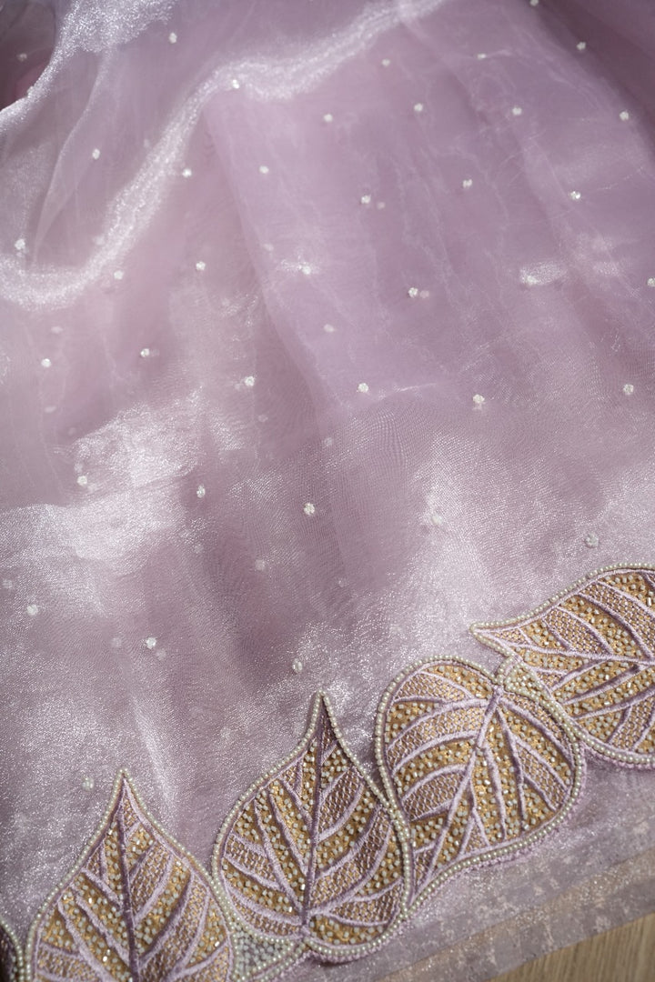Glass Organza Saree TSA2092