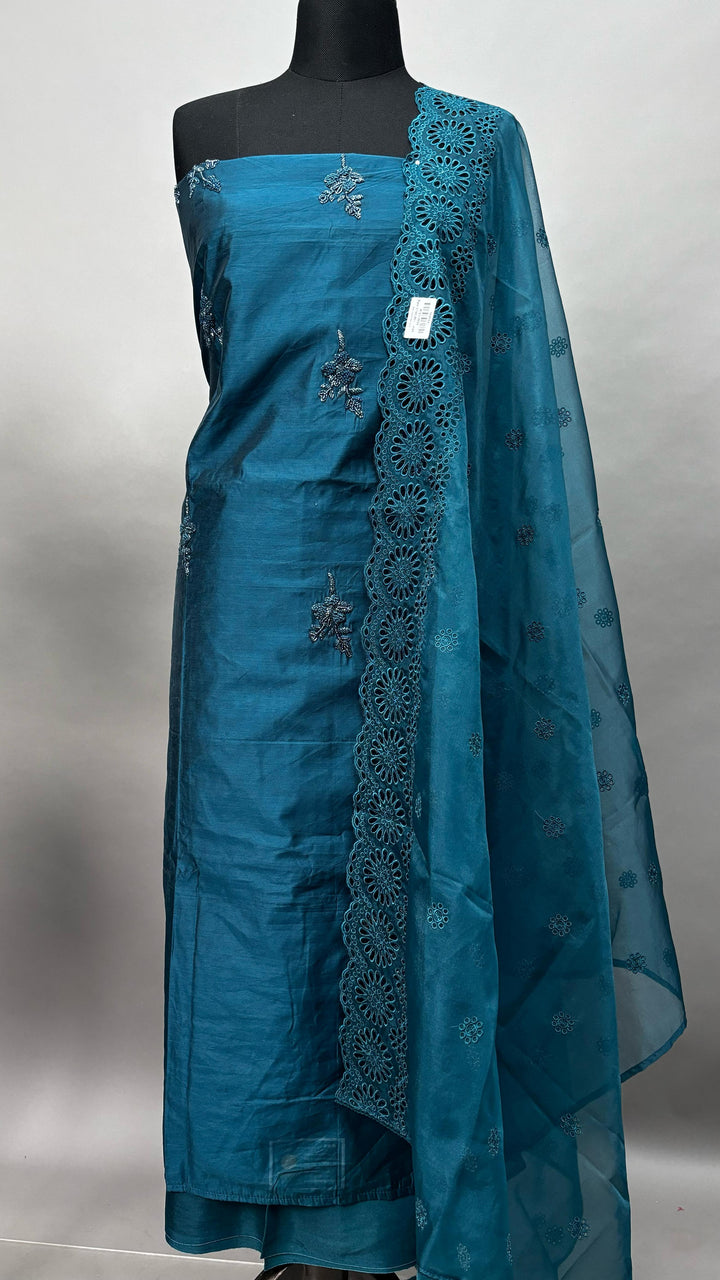 Organza Salwar TSS2142