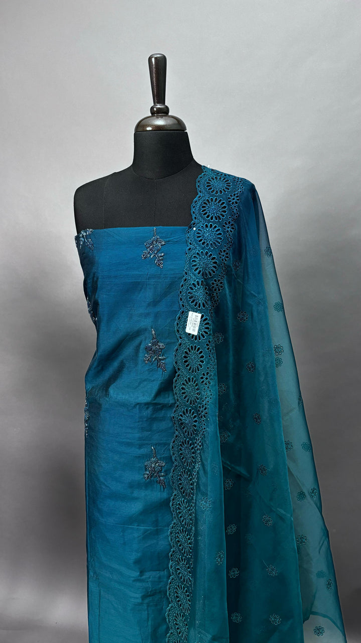 Organza Salwar TSS2142