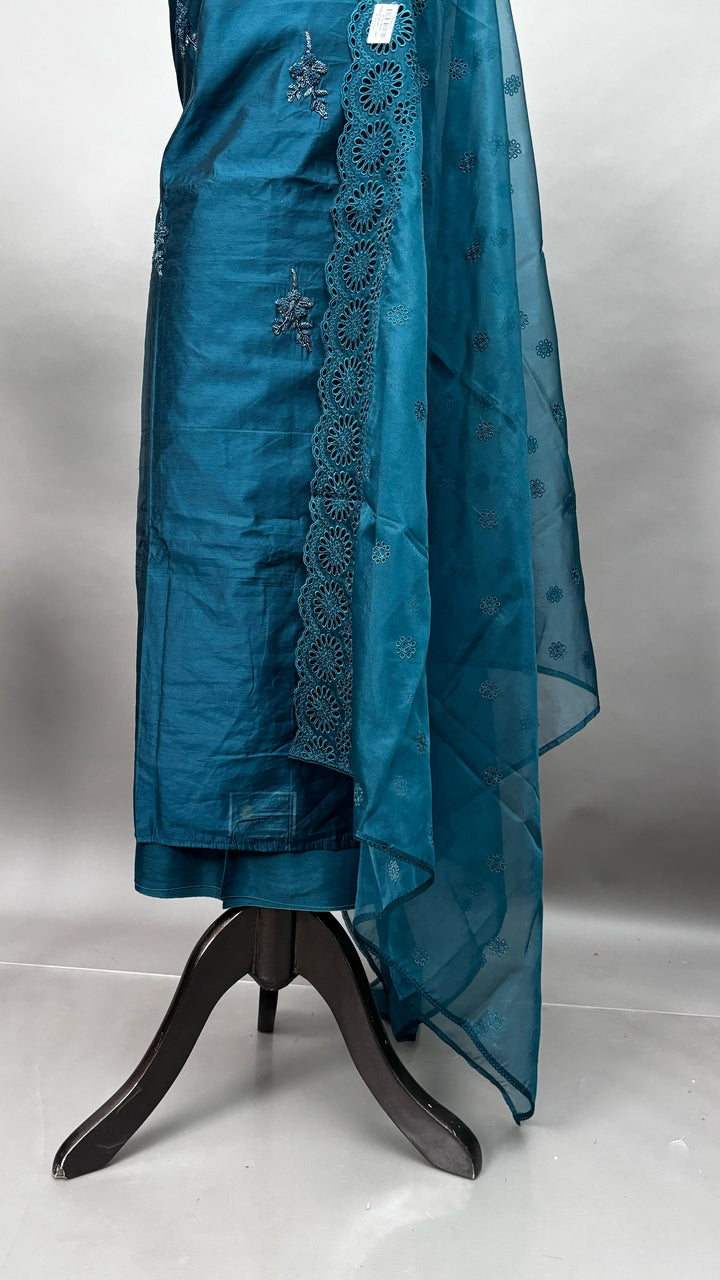 Organza Salwar TSS2142