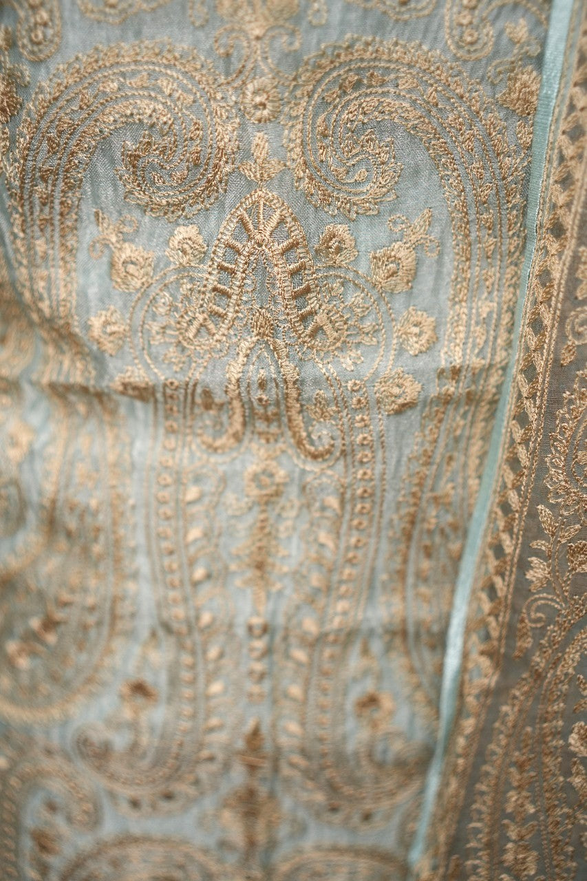 Organza Salwar TSS2155