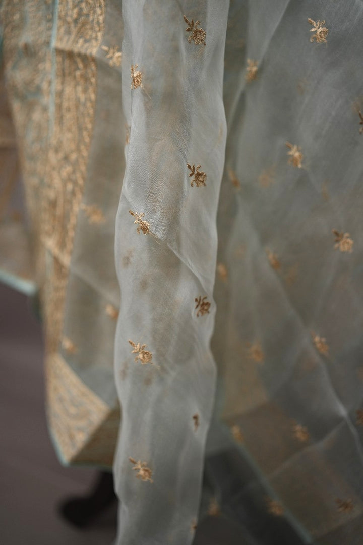 Organza Salwar TSS2155