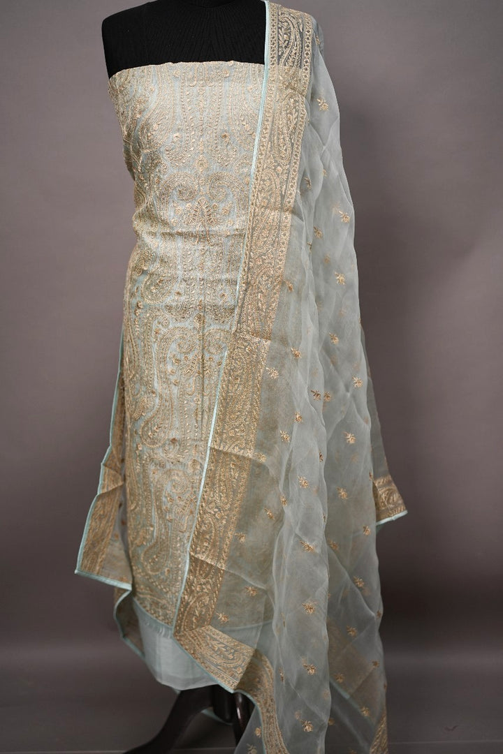 Organza Salwar TSS2155