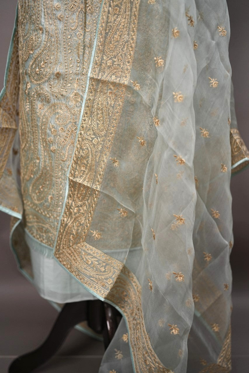 Organza Salwar TSS2155