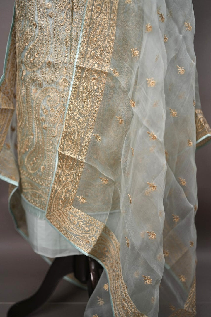 Organza Salwar TSS2155