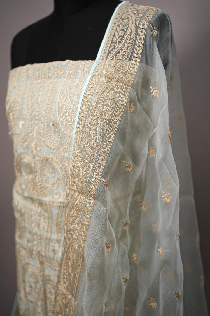 Organza Salwar TSS2155
