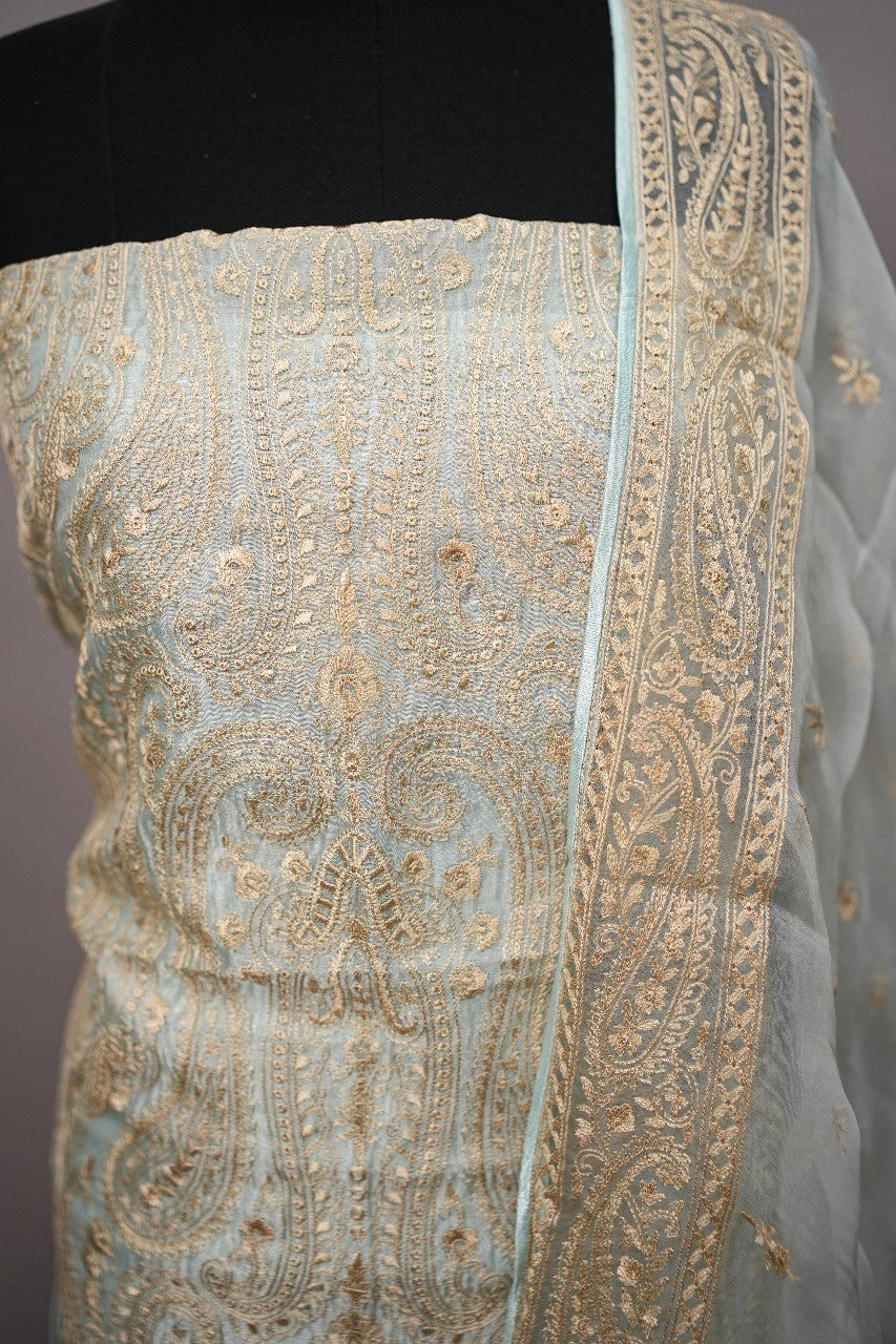 Organza Salwar TSS2155