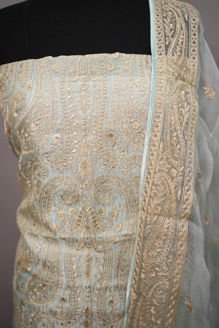 Organza Salwar TSS2155