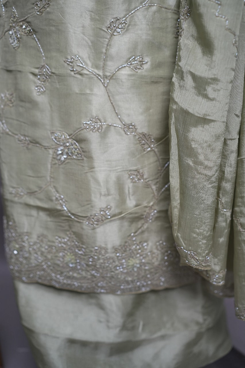 Crispy Georgette Salwar TSS2482