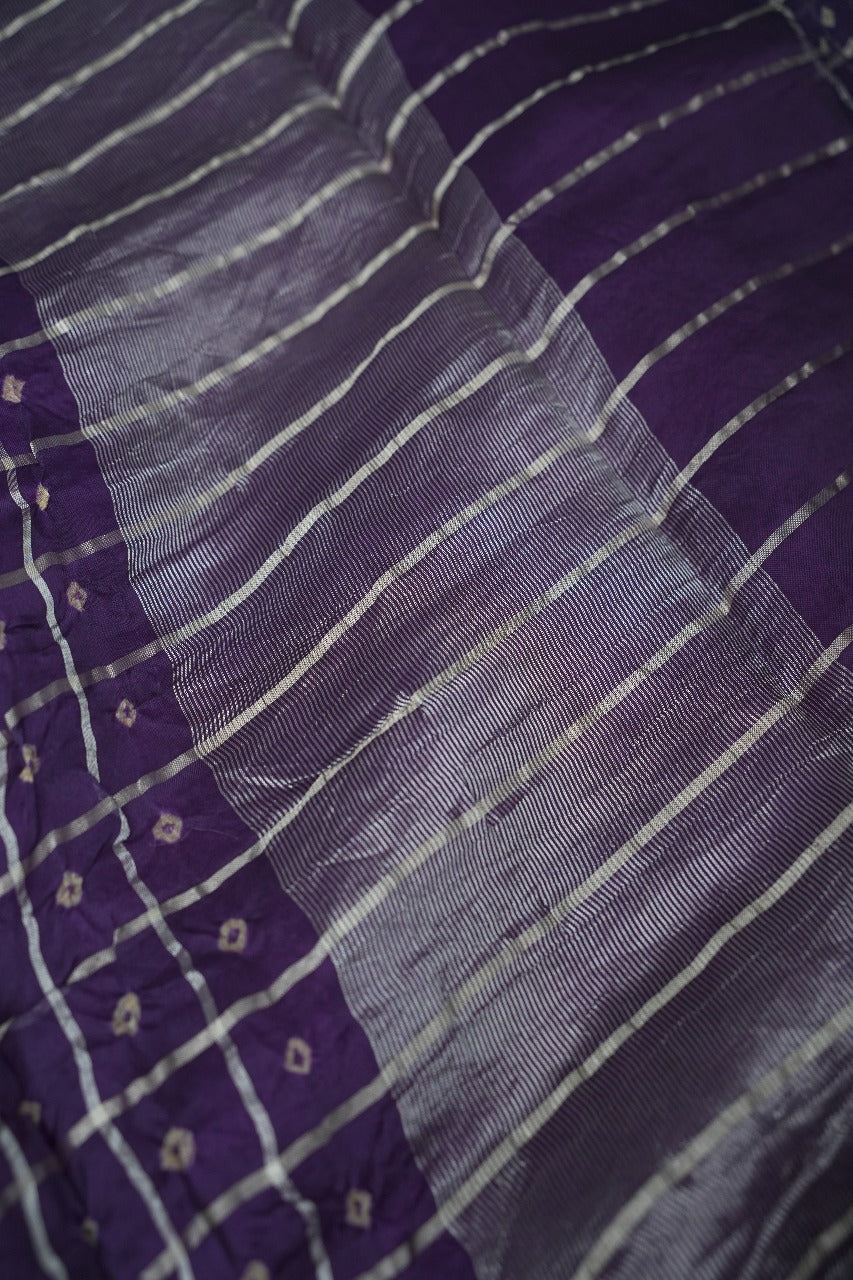 Organza Saree TSA2481