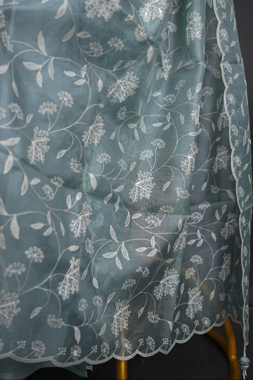 Organza Saree TSA2722