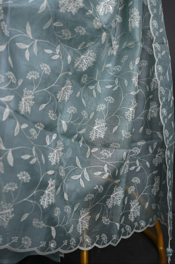 Organza Saree TSA2722