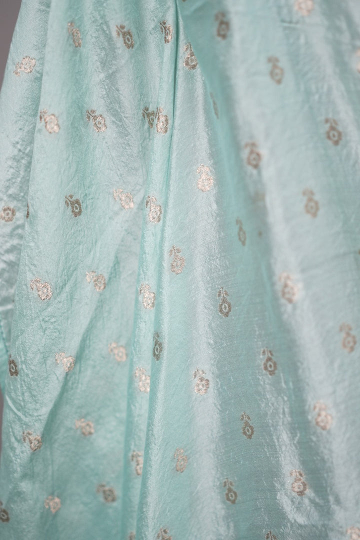 Organza Saree TSA2734