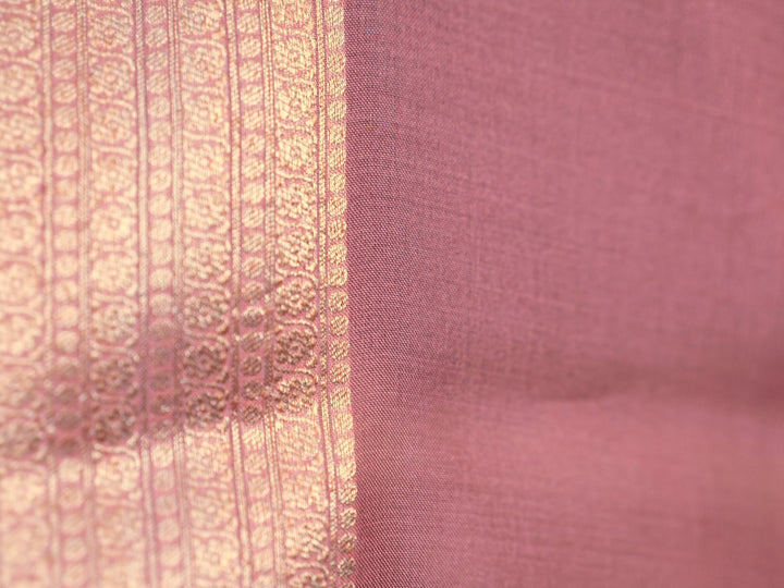 Organza Saree TSA2754